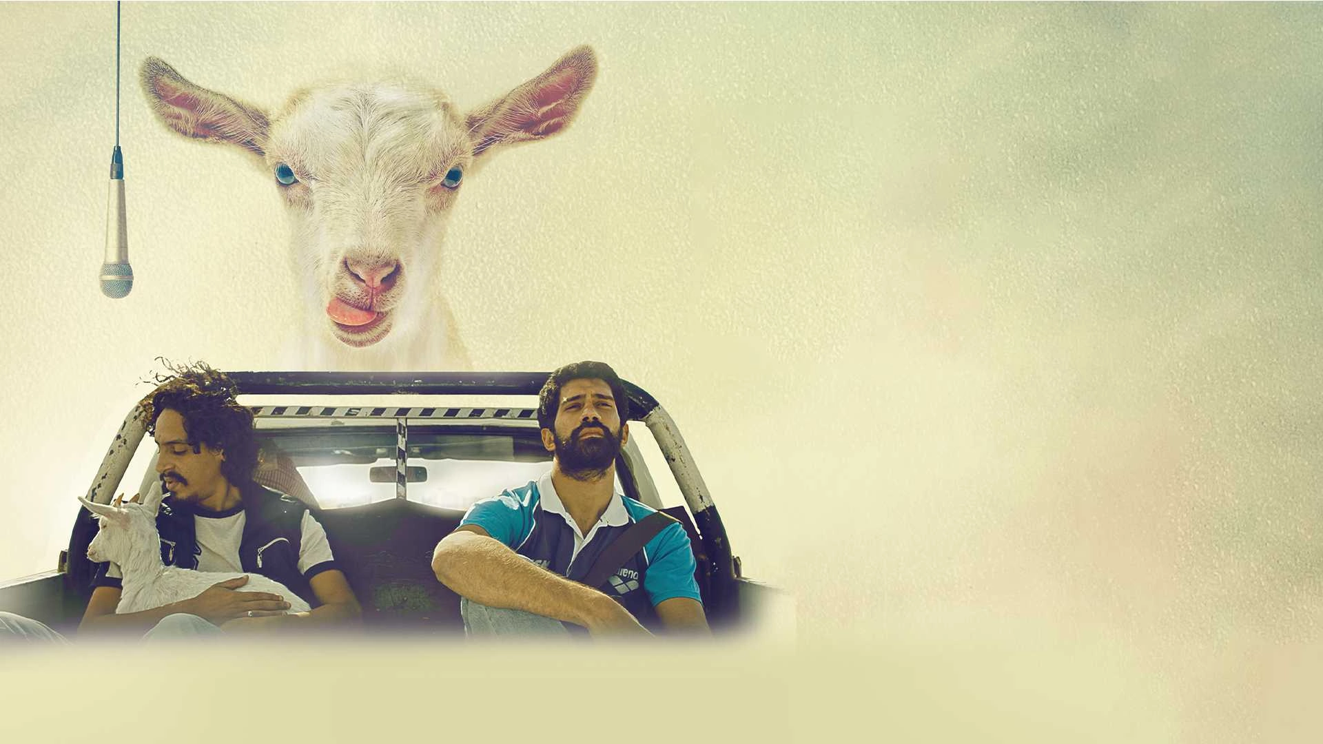 Ali Meaza Wa Ibrahim