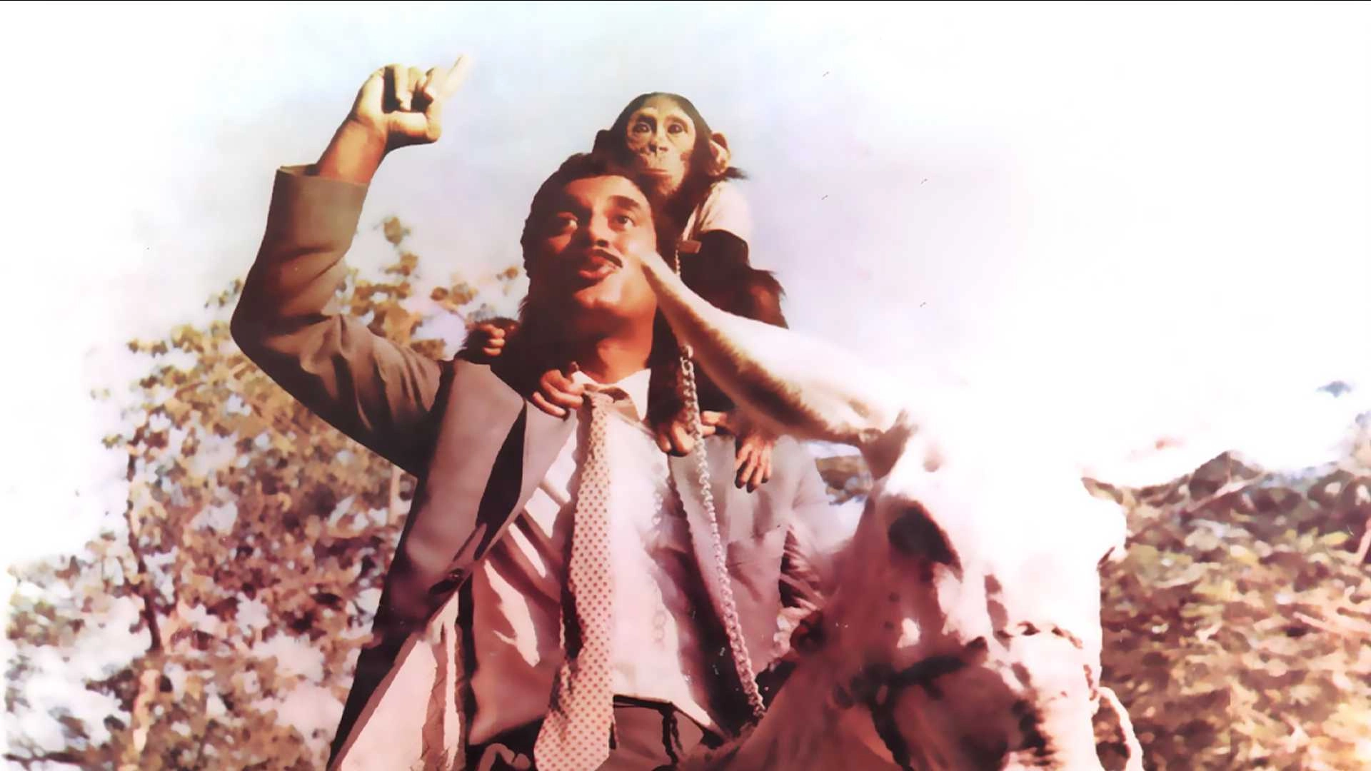 Arbaa fi Muhima Rasmia