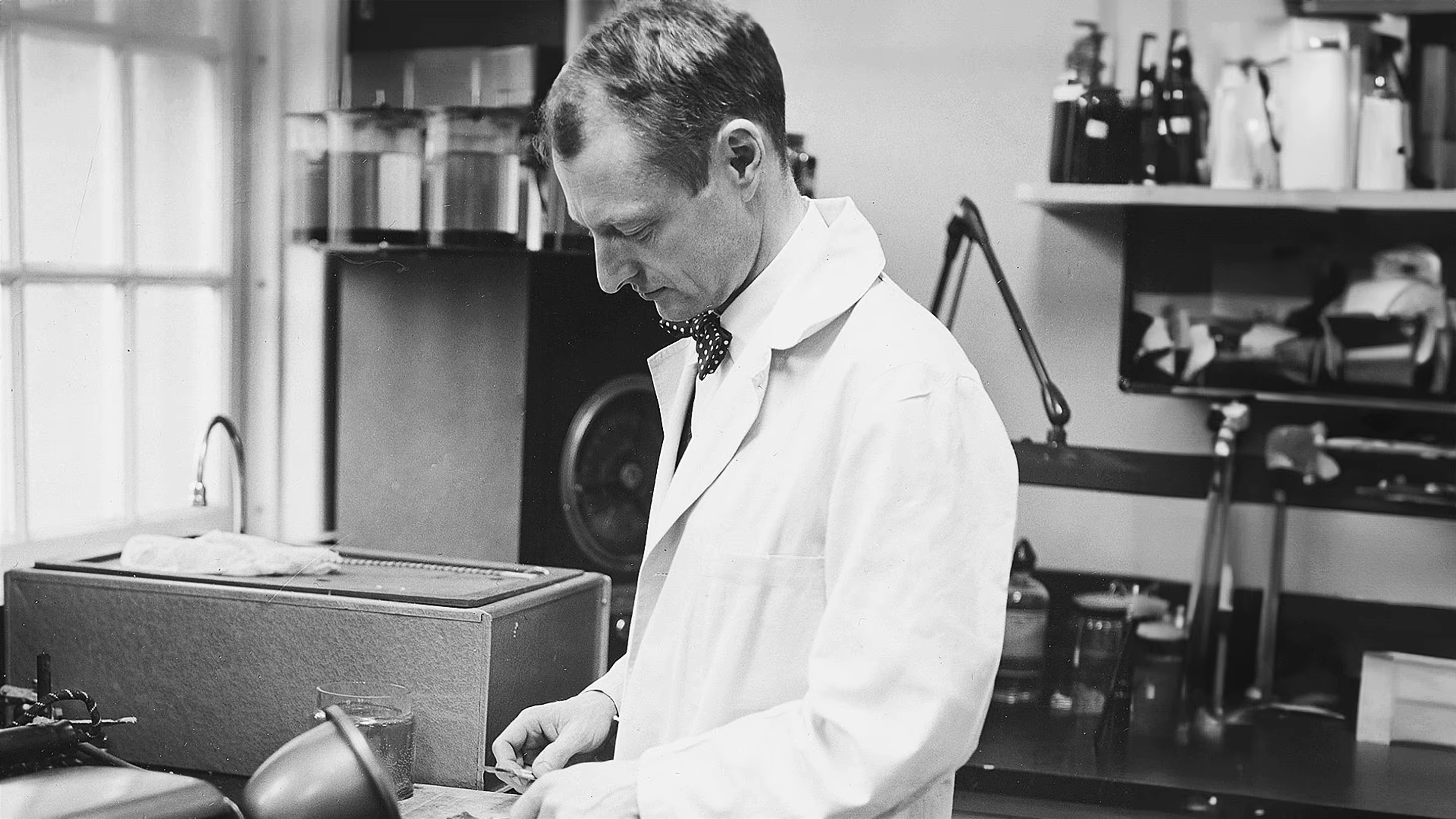  The Man Who Stole Einstein's Brain 