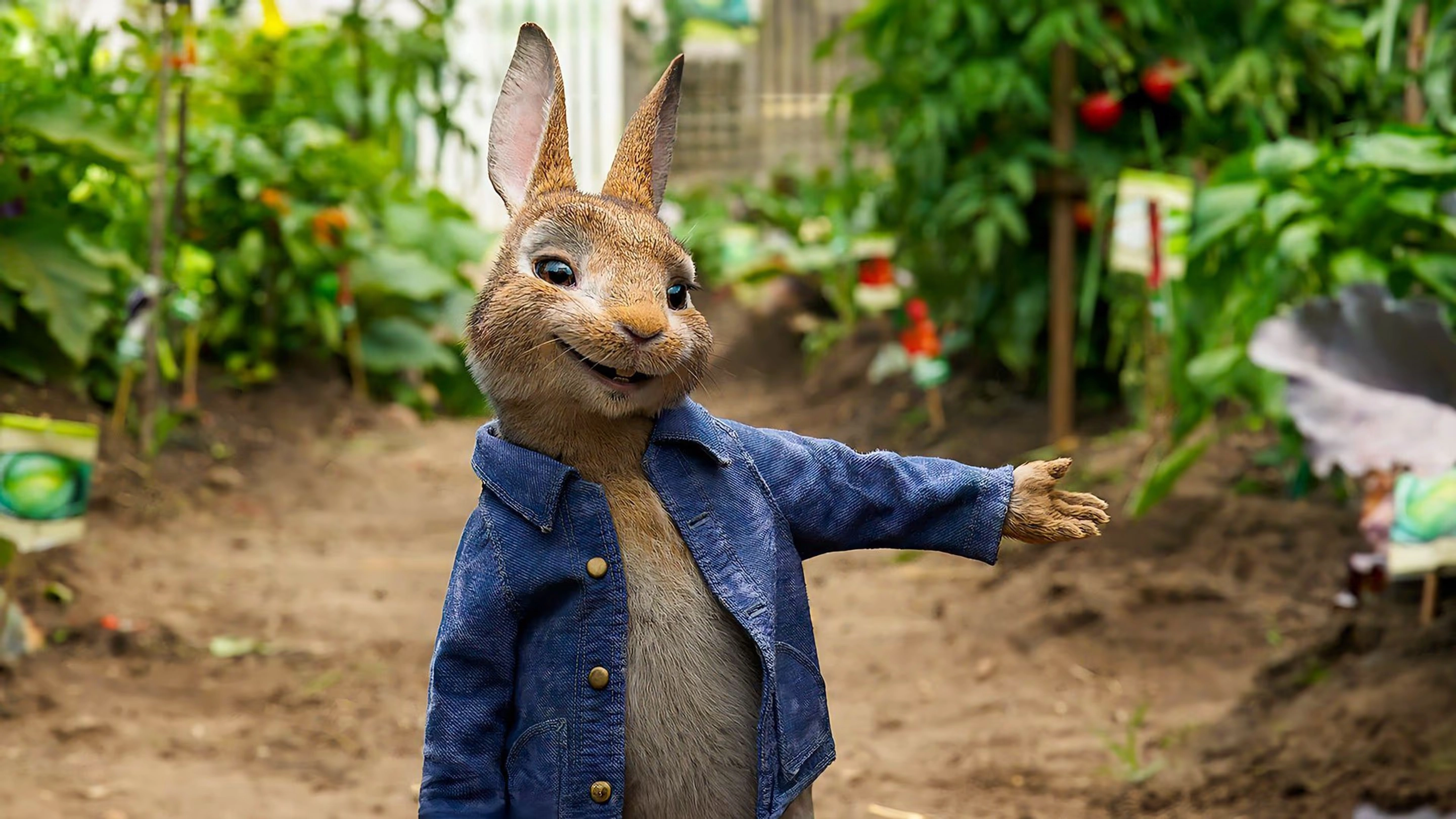  Peter Rabbit 