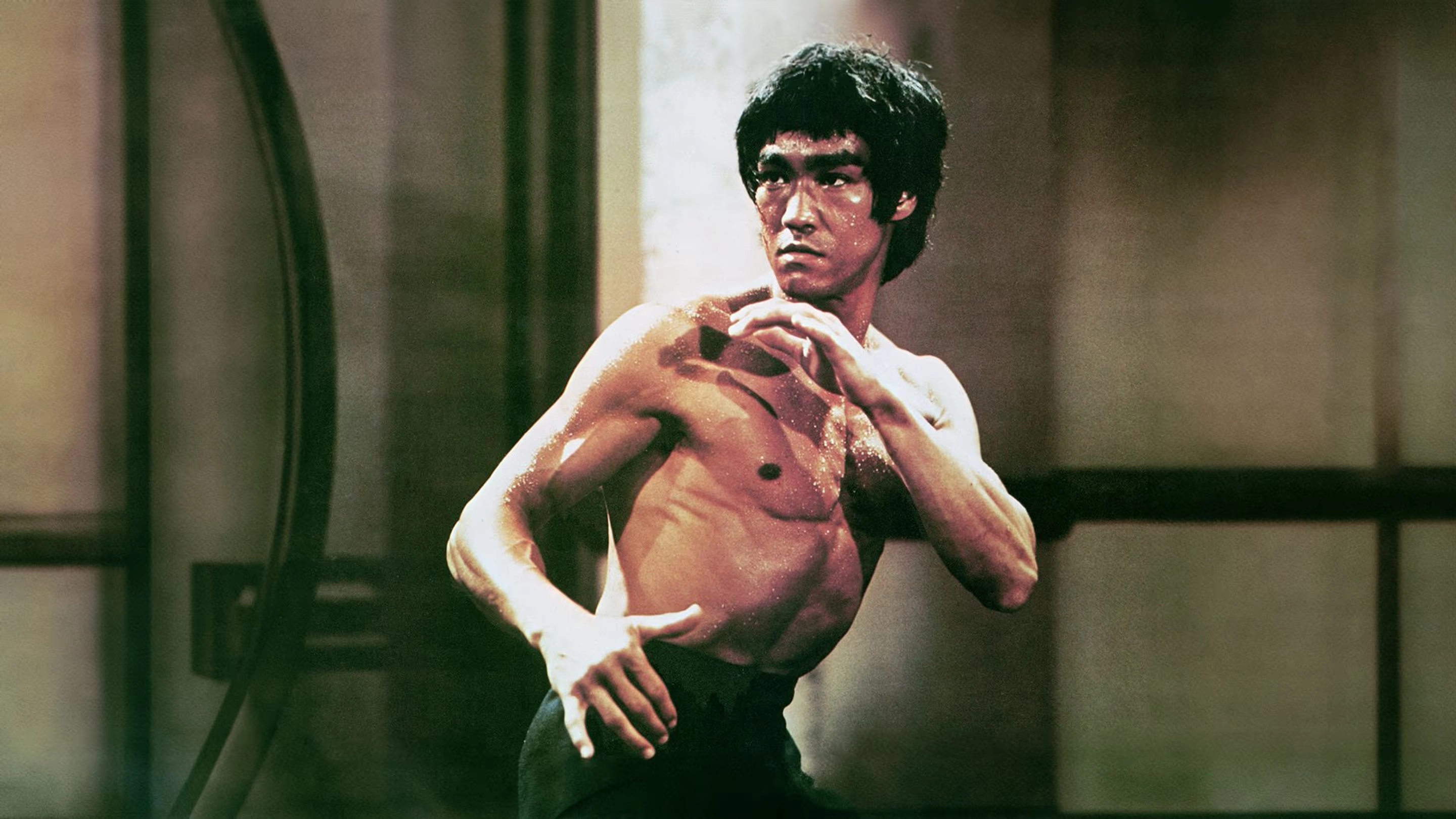  Bruce Lee: The Way Of The Warrior 