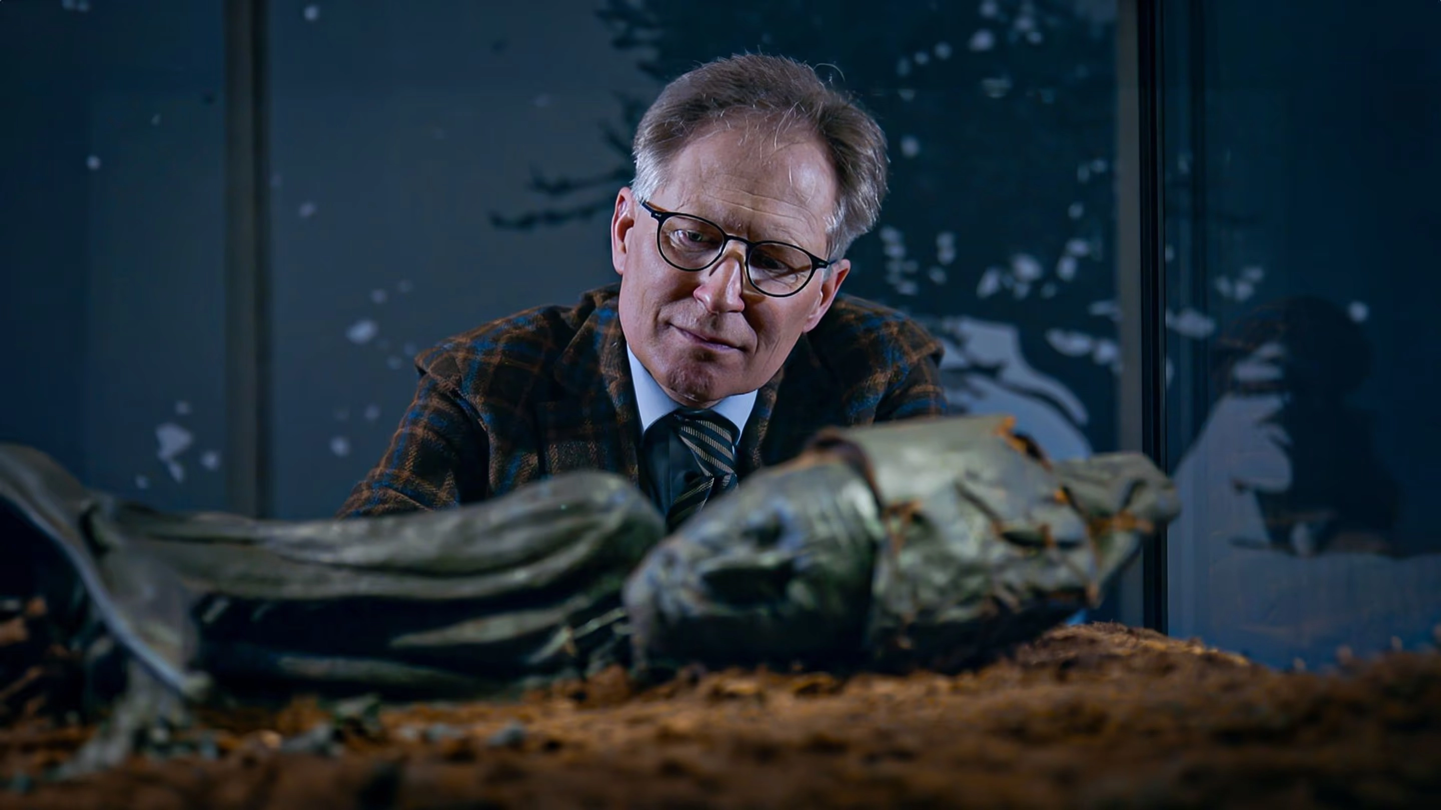  Tollund: The Enigma Of The Swamp Mummy 