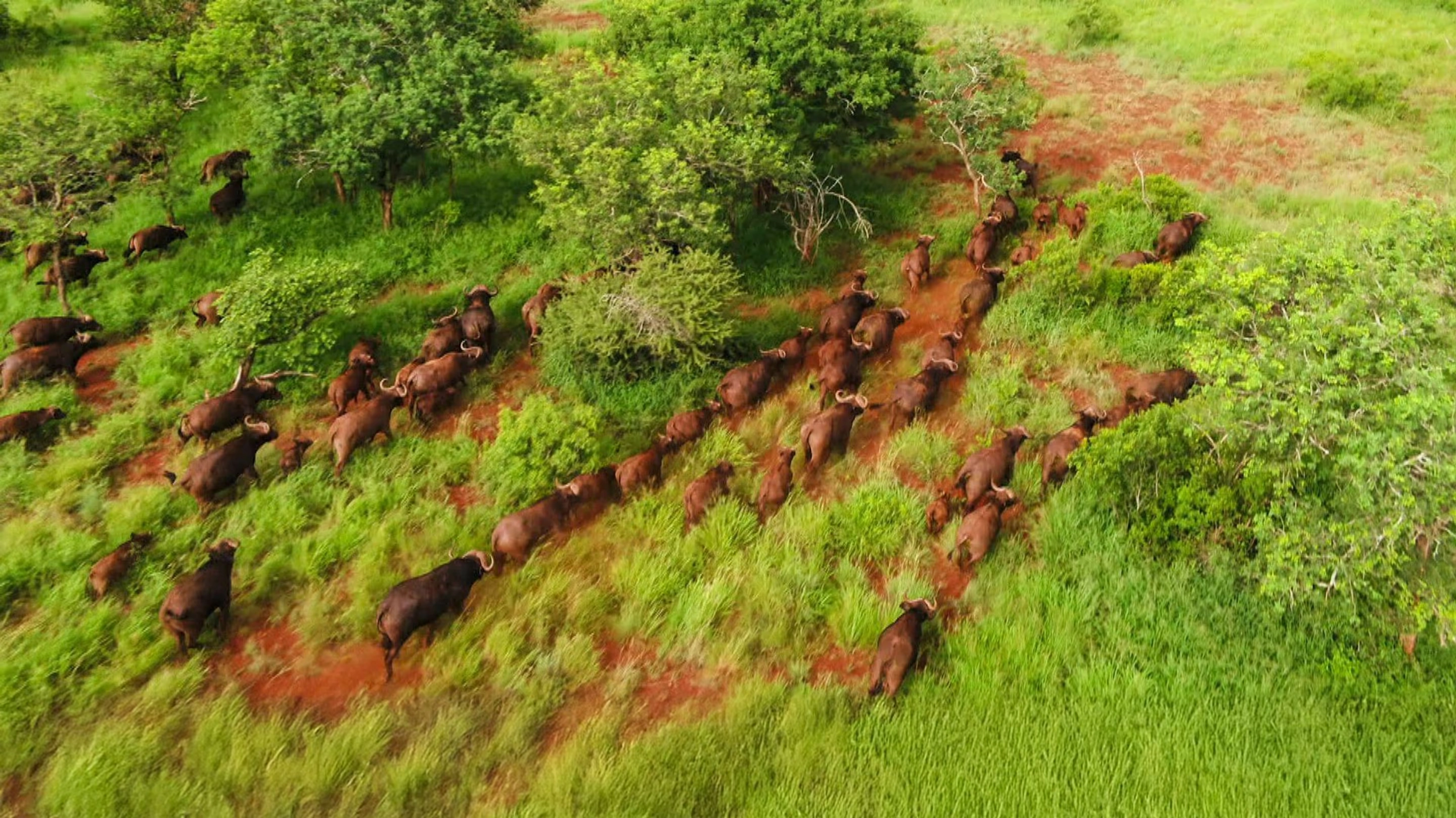  South Africa From Above 