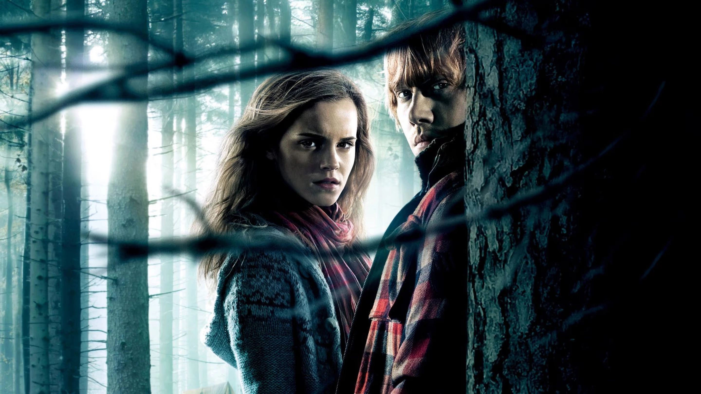  Harry Potter And The Deathly Hallows - Part 1 