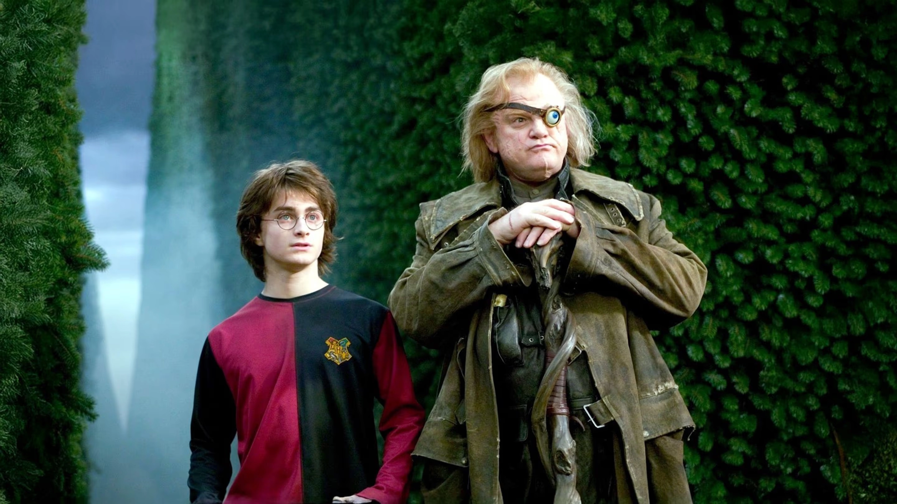  Harry Potter And The Goblet Of Fire 