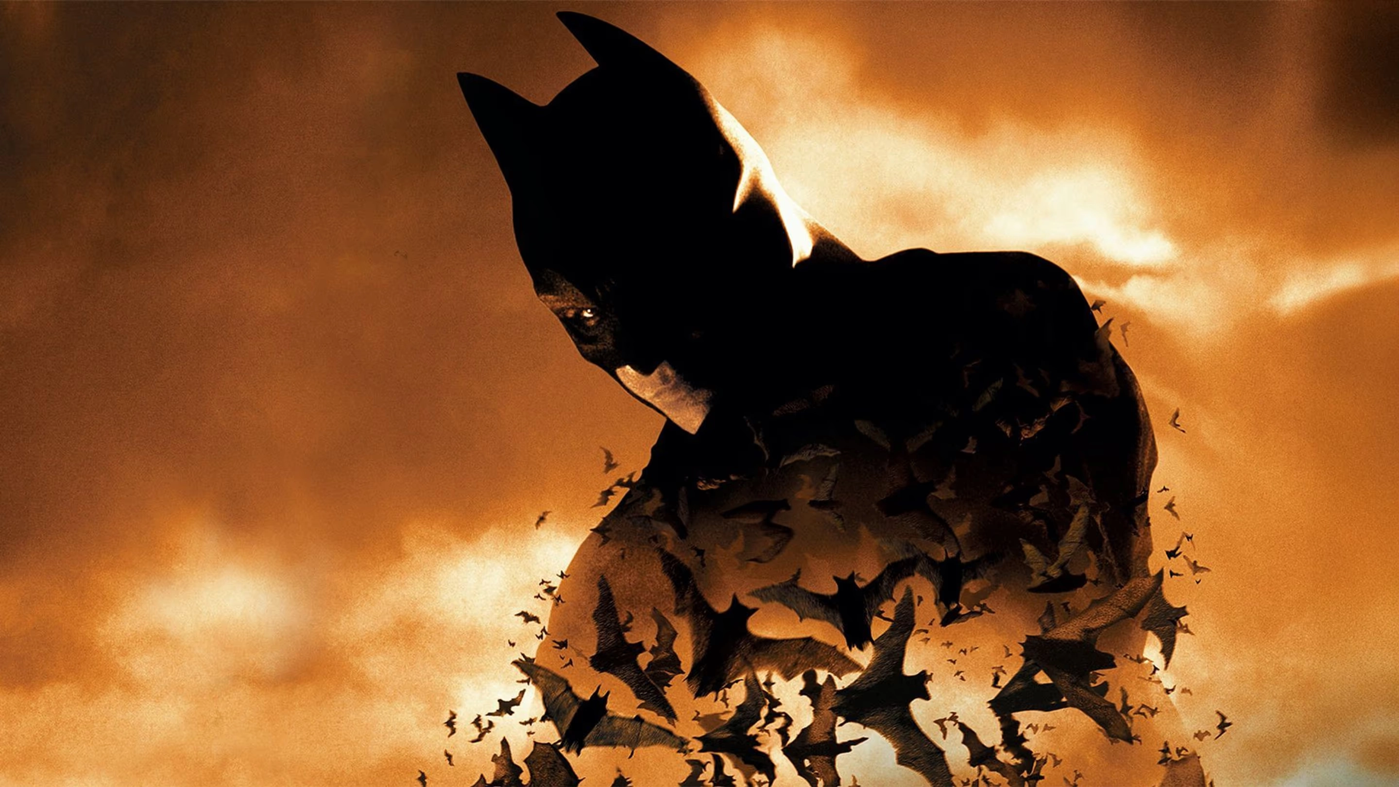  Batman Begins 