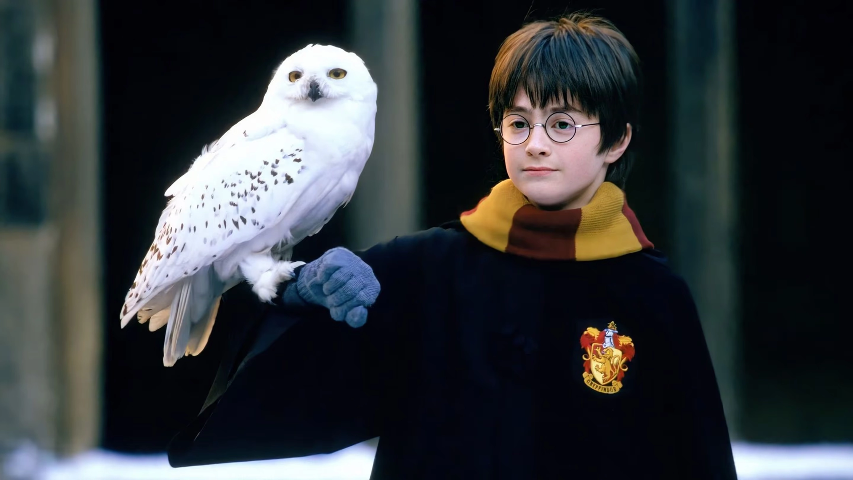  Harry Potter And The Sorcerer's Stone 