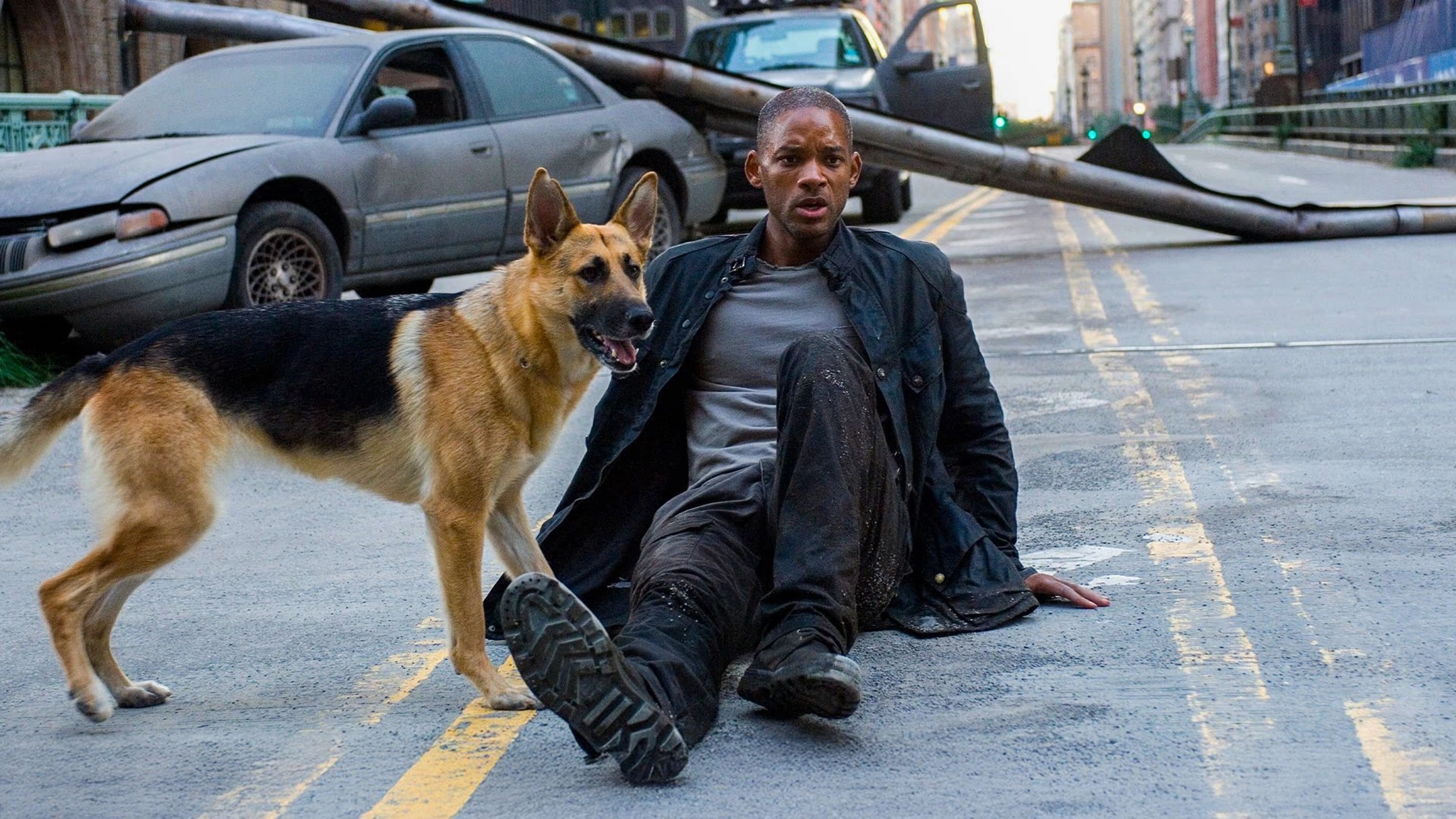  I Am Legend 