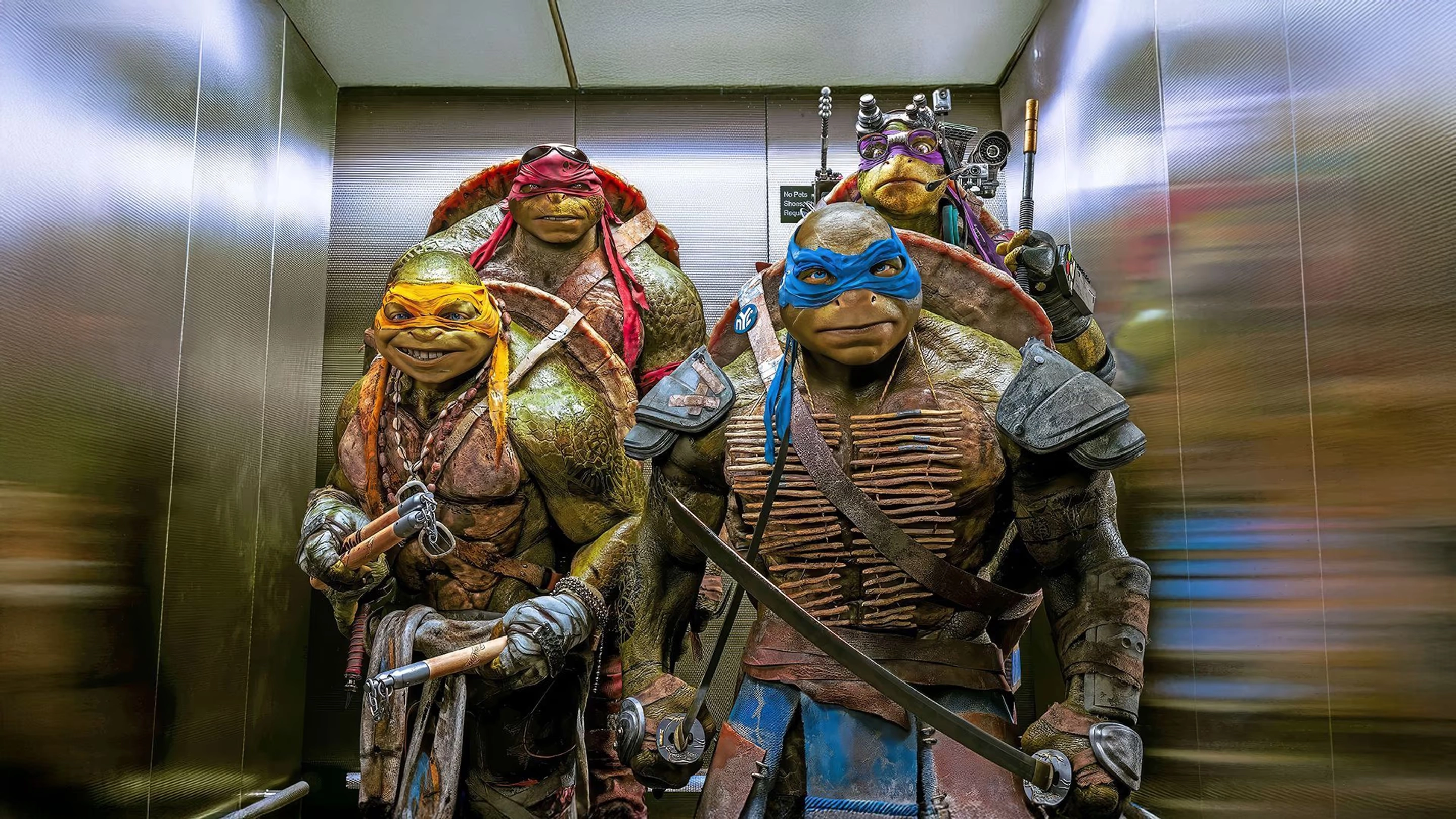  Teenage Mutant Ninja Turtles 