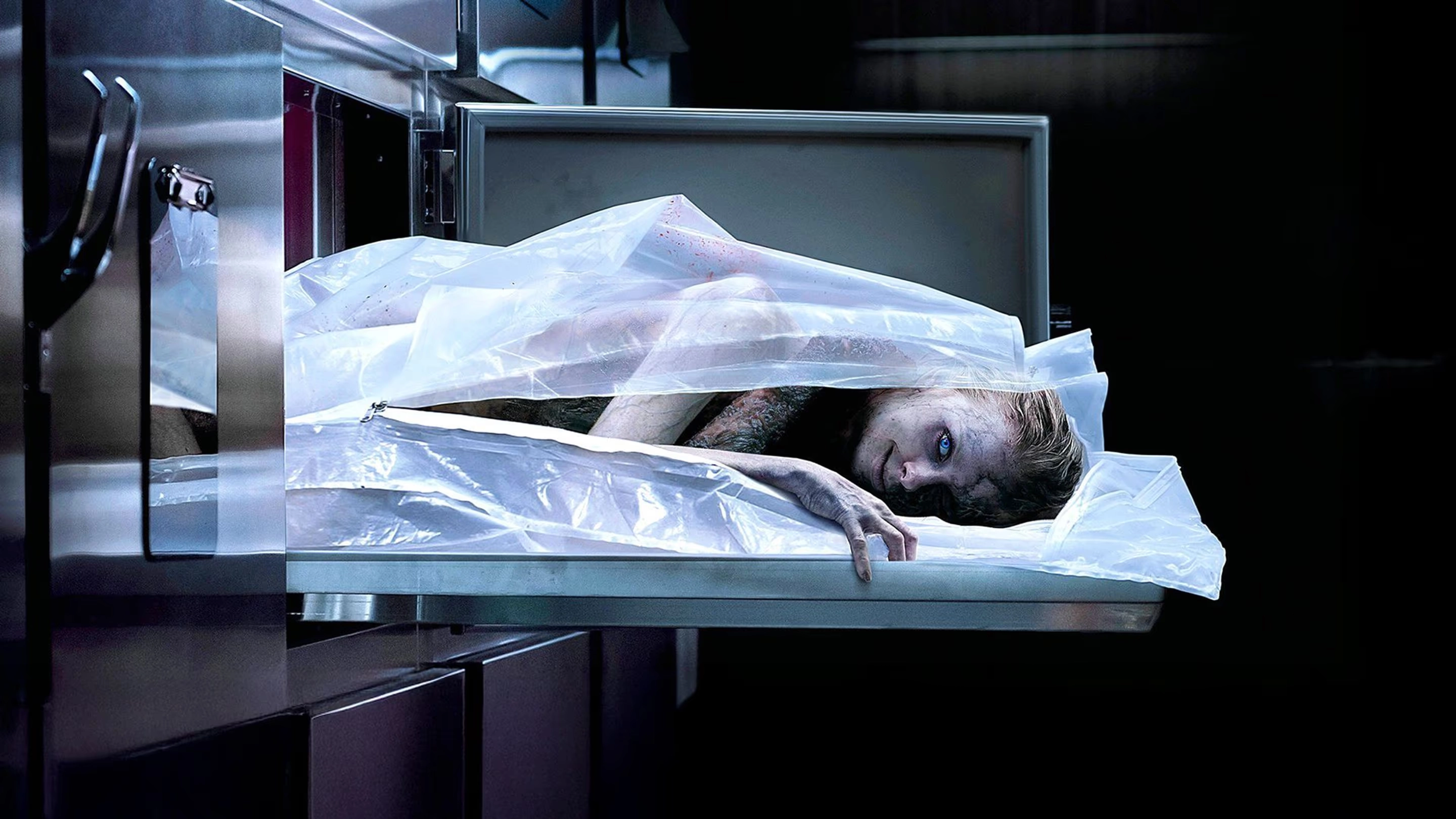  The Possession Of Hannah Grace 