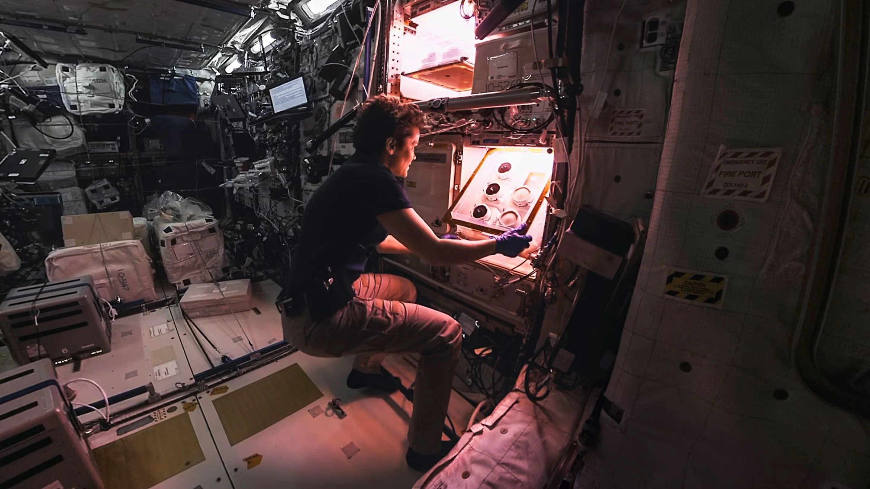  Space Explorers: Moonrise On The ISS 