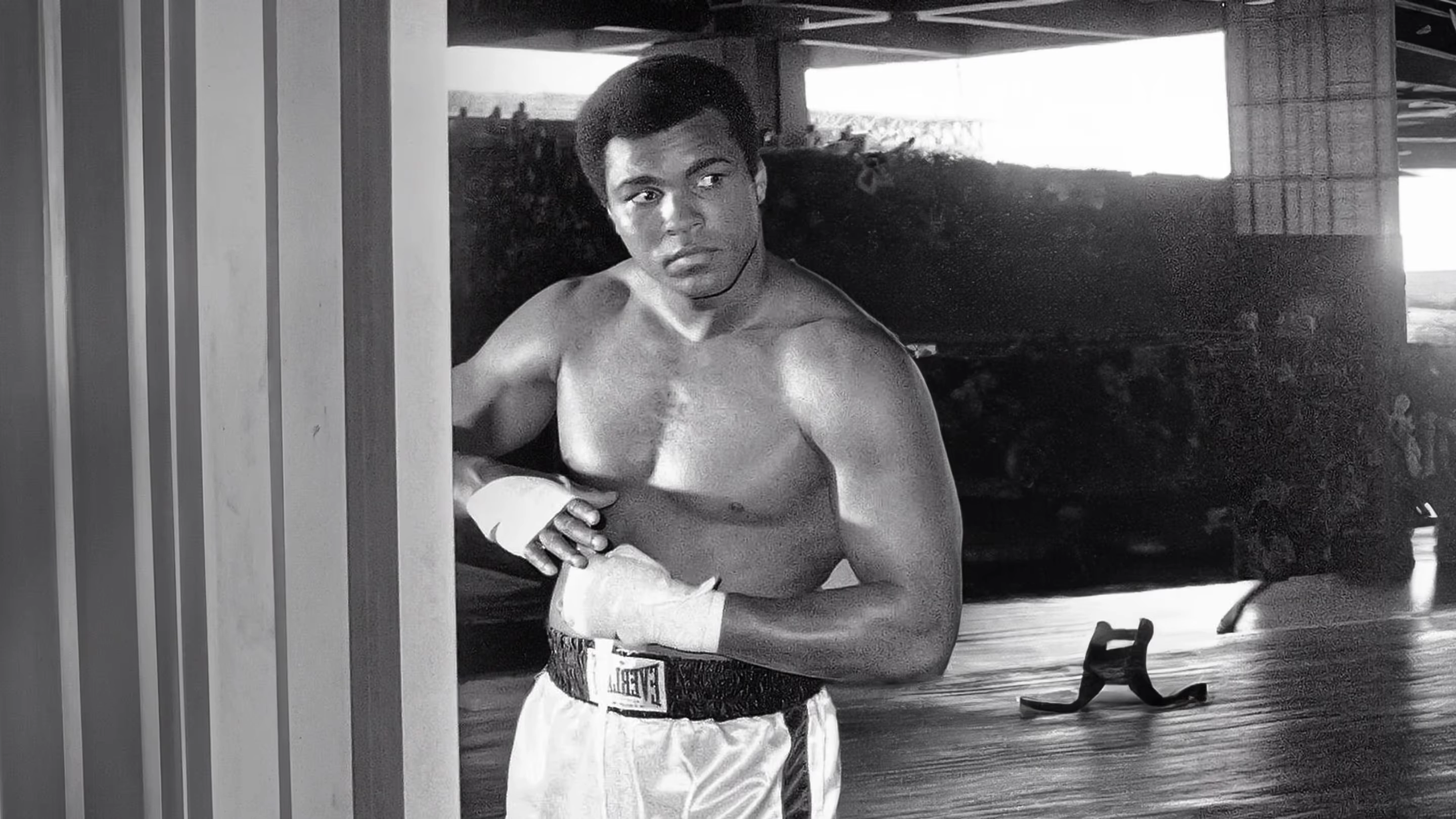  Ali’s Comeback: The Untold Story 