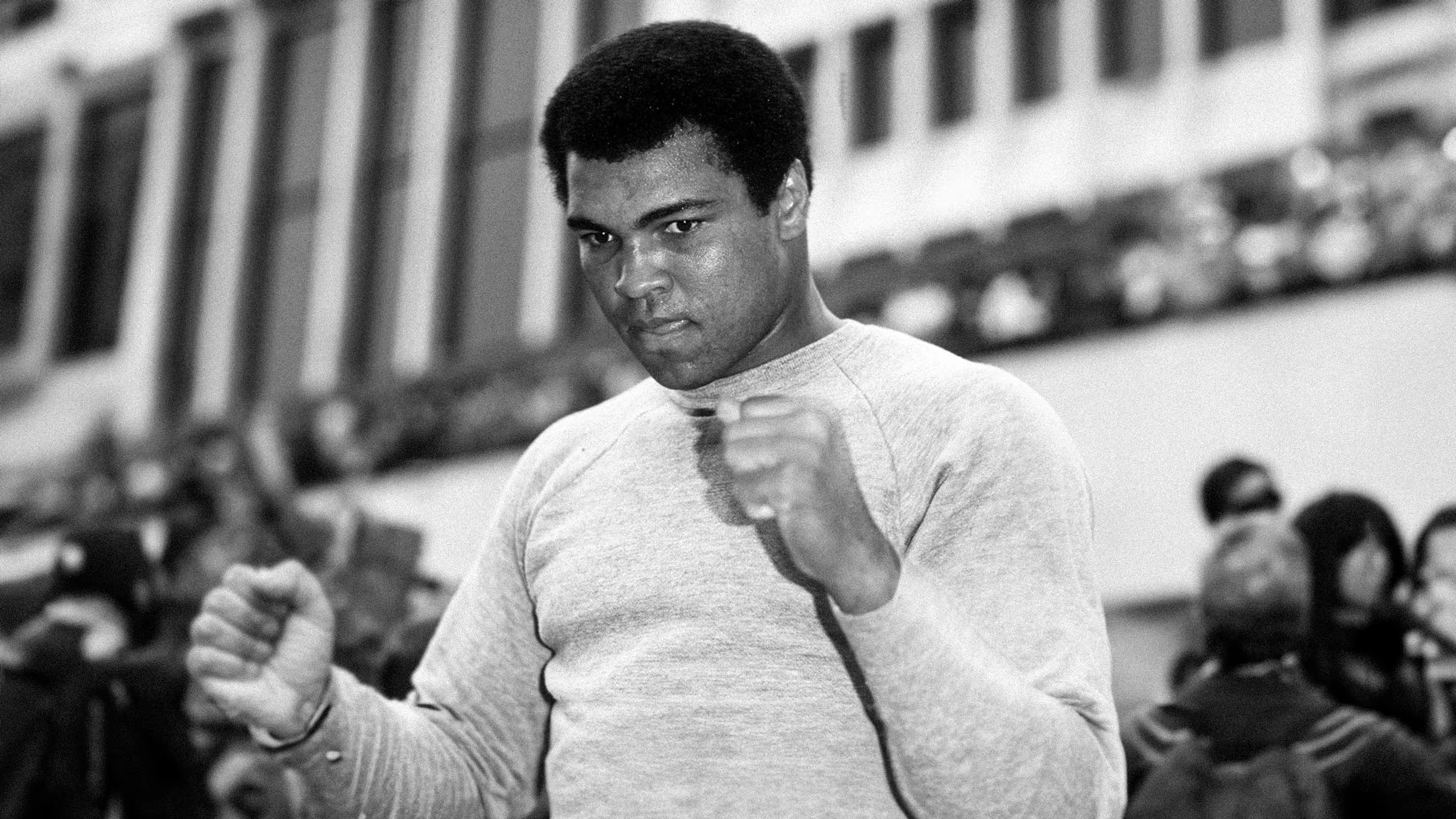  Muhammad Ali The Greatest 